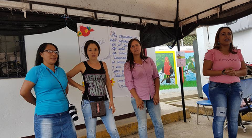 imggallinasPonedoras